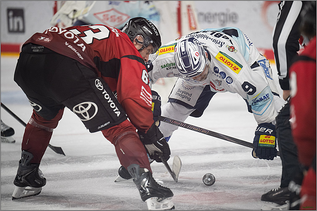 PENNY DEL 1; Kölner Haie - Dresdner Eislöwen; Köln, 25.02.2026