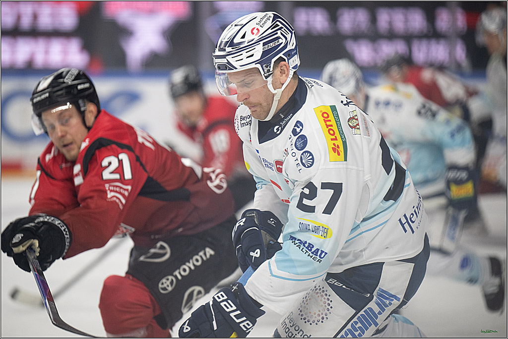 PENNY DEL 1; Kölner Haie - Dresdner Eislöwen; Köln, 25.02.2026