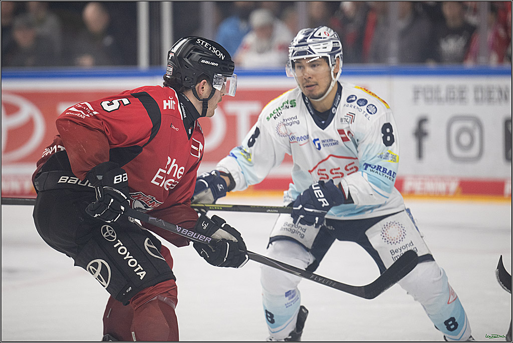 PENNY DEL 1; Kölner Haie - Dresdner Eislöwen; Köln, 25.02.2026