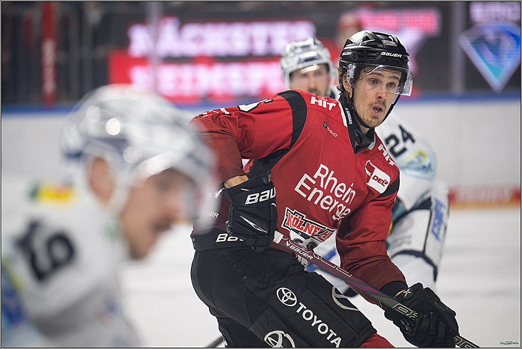 PENNY DEL 1; Kölner Haie - Dresdner Eislöwen; Köln, 25.02.2026