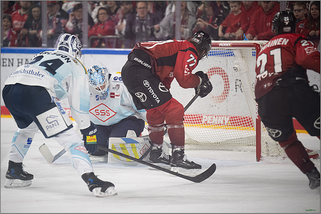 PENNY DEL 1; Kölner Haie - Dresdner Eislöwen; Köln, 25.02.2026