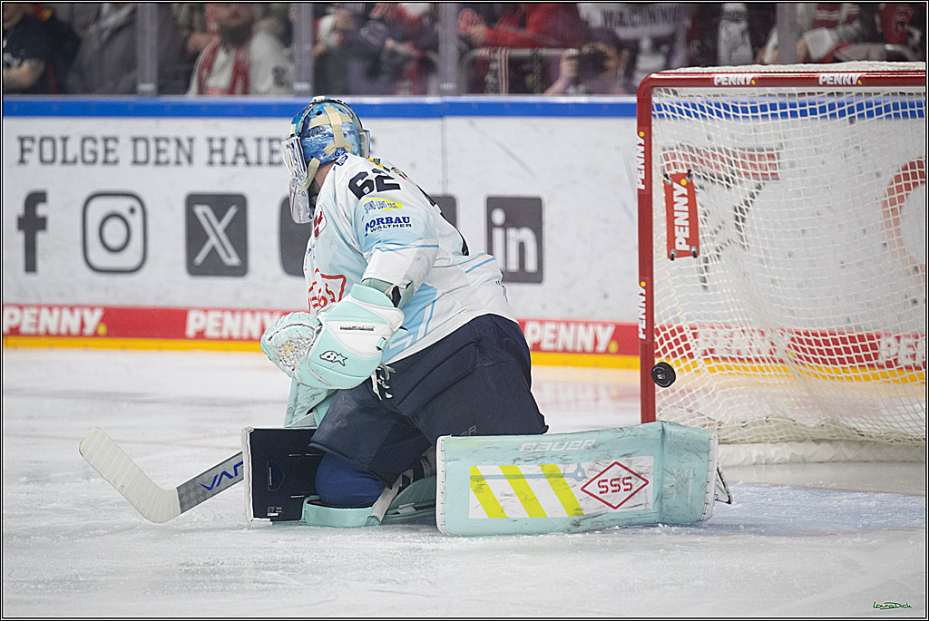PENNY DEL 1; Kölner Haie - Dresdner Eislöwen; Köln, 25.02.2026