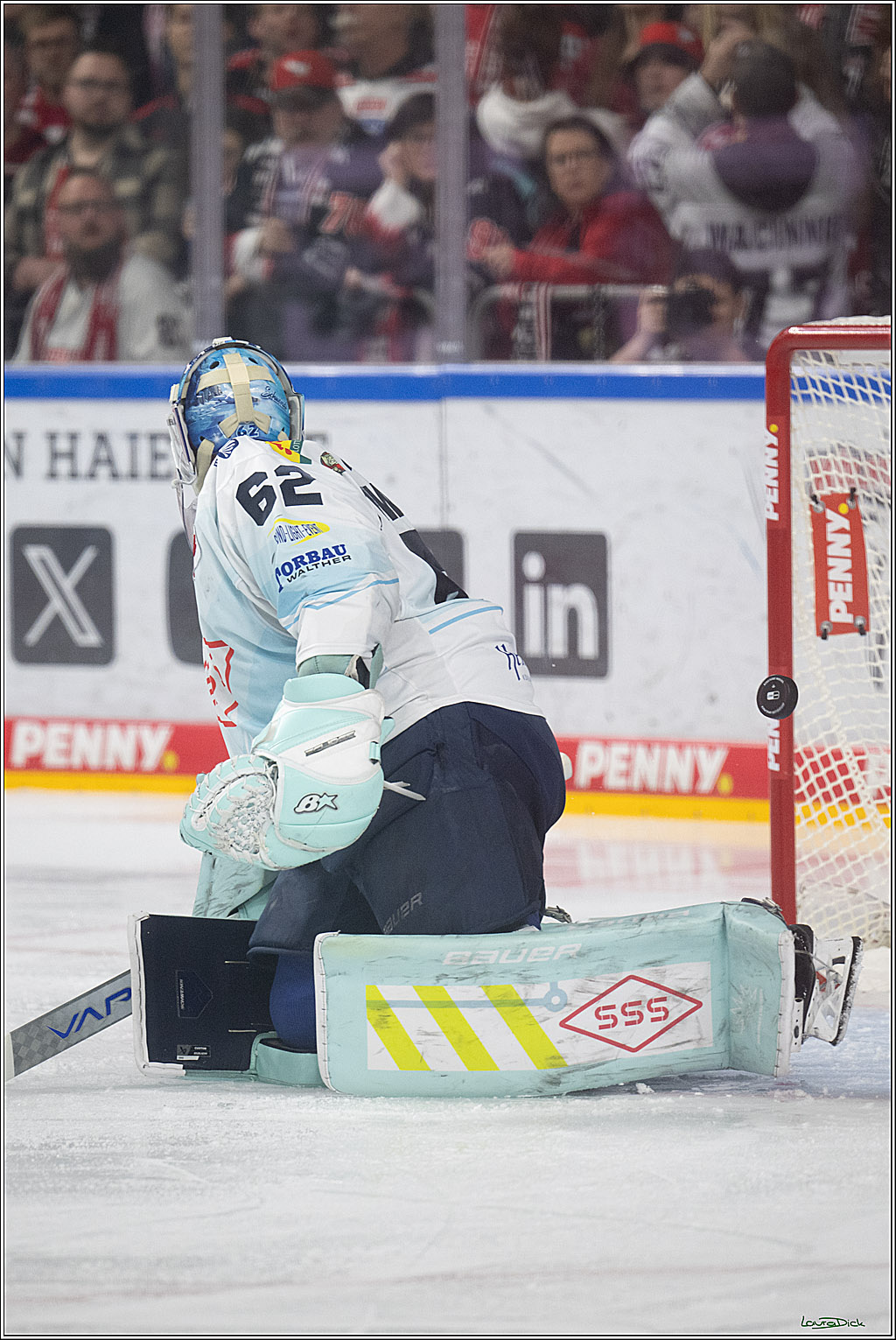 PENNY DEL 1; Kölner Haie - Dresdner Eislöwen; Köln, 25.02.2026