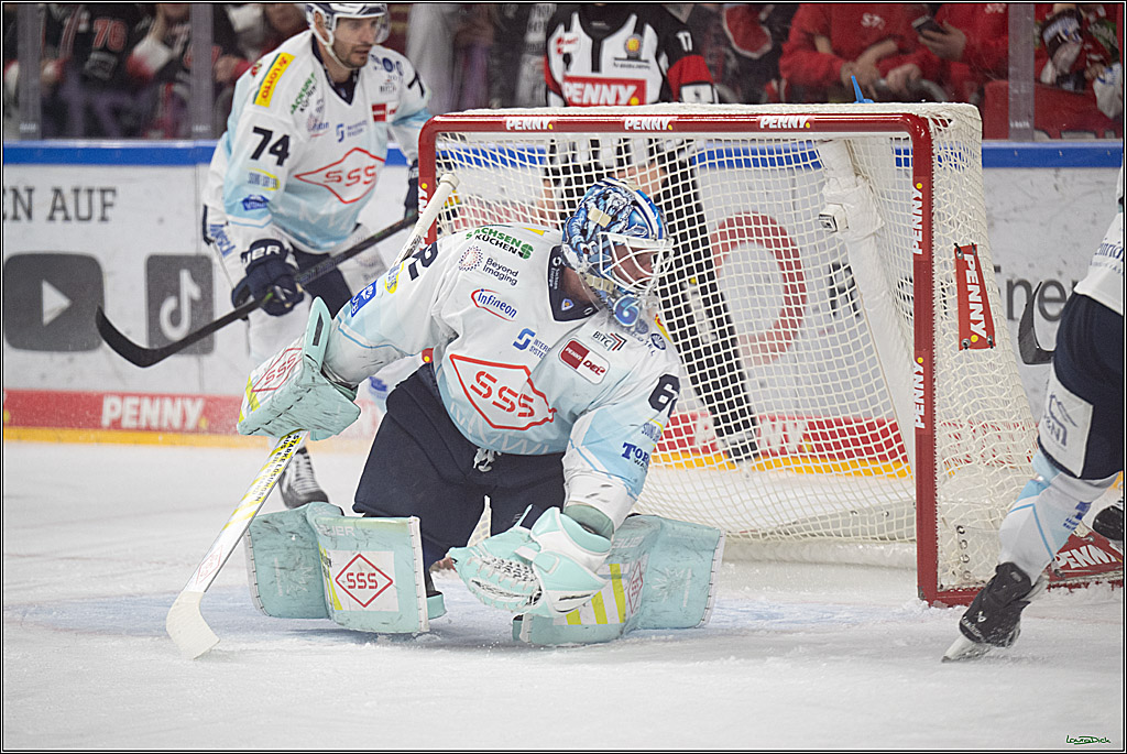 PENNY DEL 1; Kölner Haie - Dresdner Eislöwen; Köln, 25.02.2026