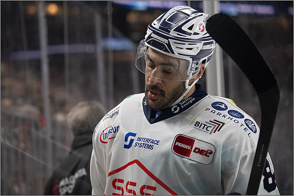 PENNY DEL 1; Kölner Haie - Dresdner Eislöwen; Köln, 25.02.2026