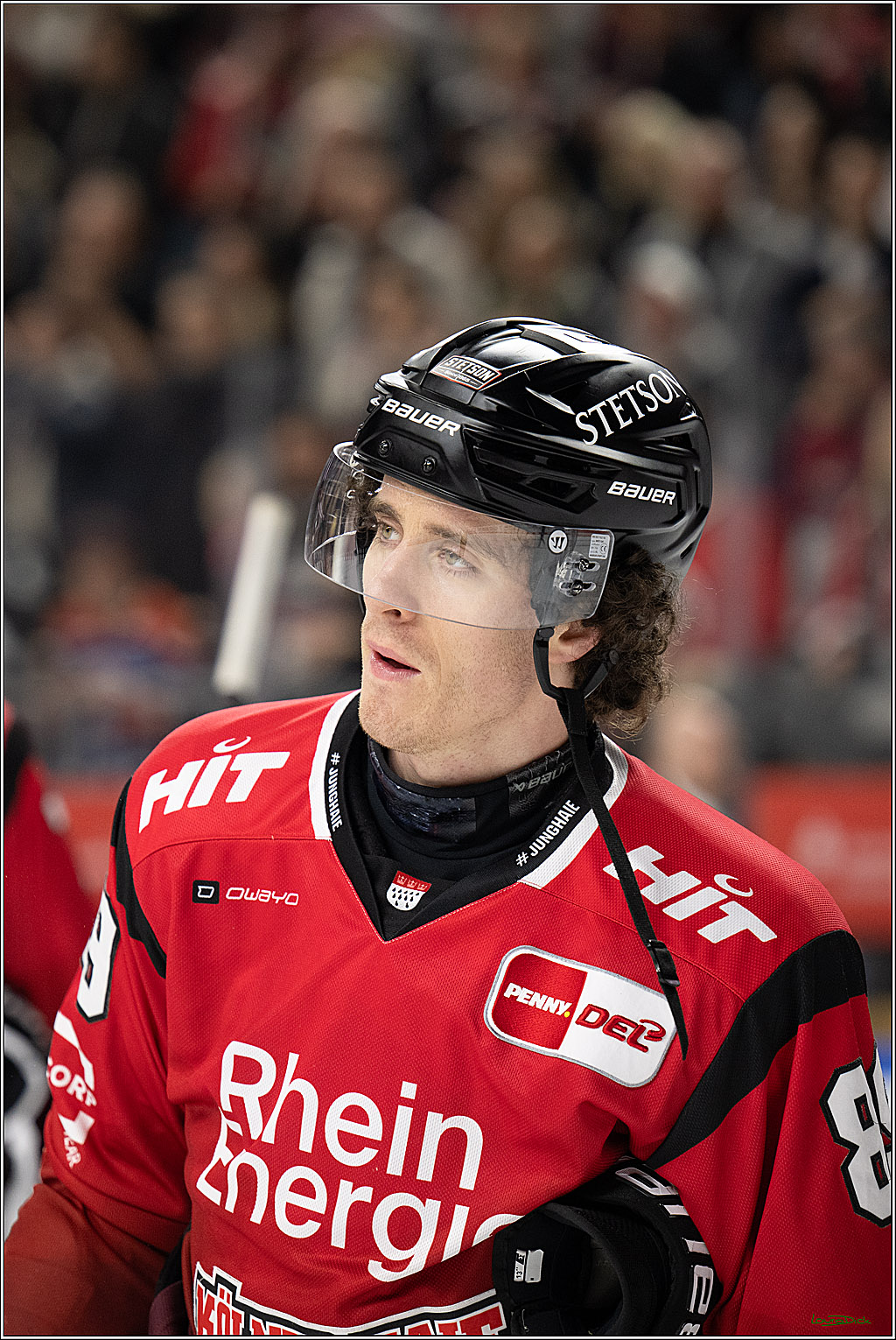 PENNY DEL 1; Kölner Haie - Dresdner Eislöwen; Köln, 25.02.2026