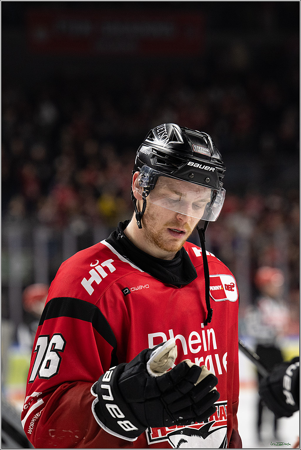 PENNY DEL 1; Kölner Haie - Dresdner Eislöwen; Köln, 25.02.2026