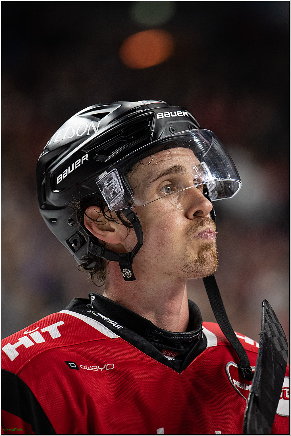 PENNY DEL 1; Kölner Haie - Dresdner Eislöwen; Köln, 25.02.2026