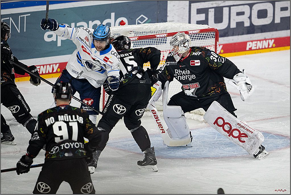 PENNY DEL 1; Kölner Haie - ERC Ingolstadt; Köln, 27.02.2026