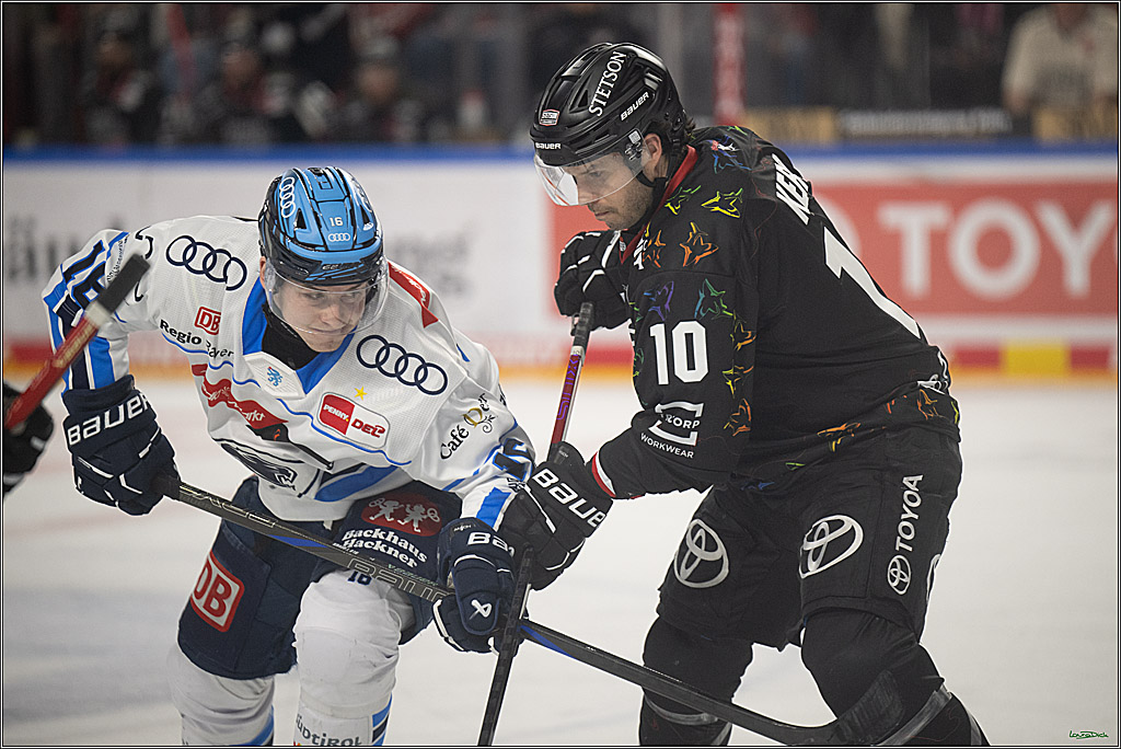 PENNY DEL 1; Kölner Haie - ERC Ingolstadt; Köln, 27.02.2026