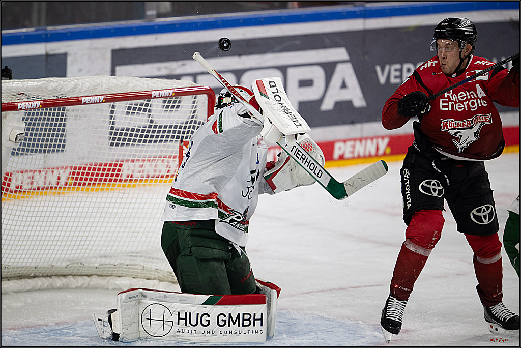 PENNY DEL 1; Kölner Haie - Augsburger Panther; Köln, 04.03.2026