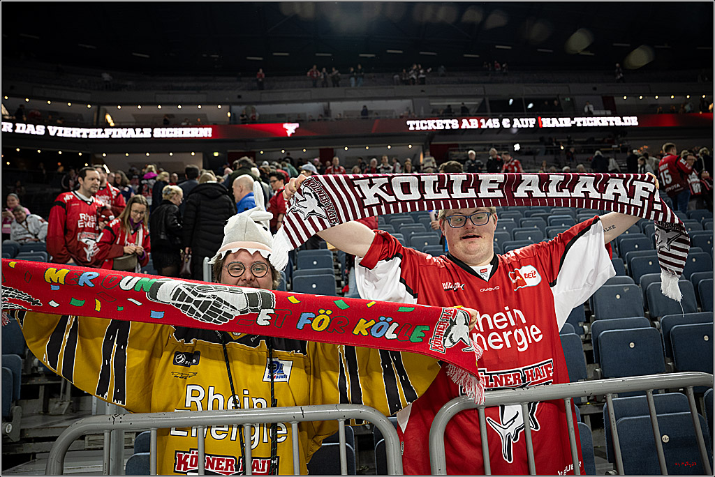 PENNY DEL 1; Kölner Haie - Augsburger Panther; Köln, 04.03.2026