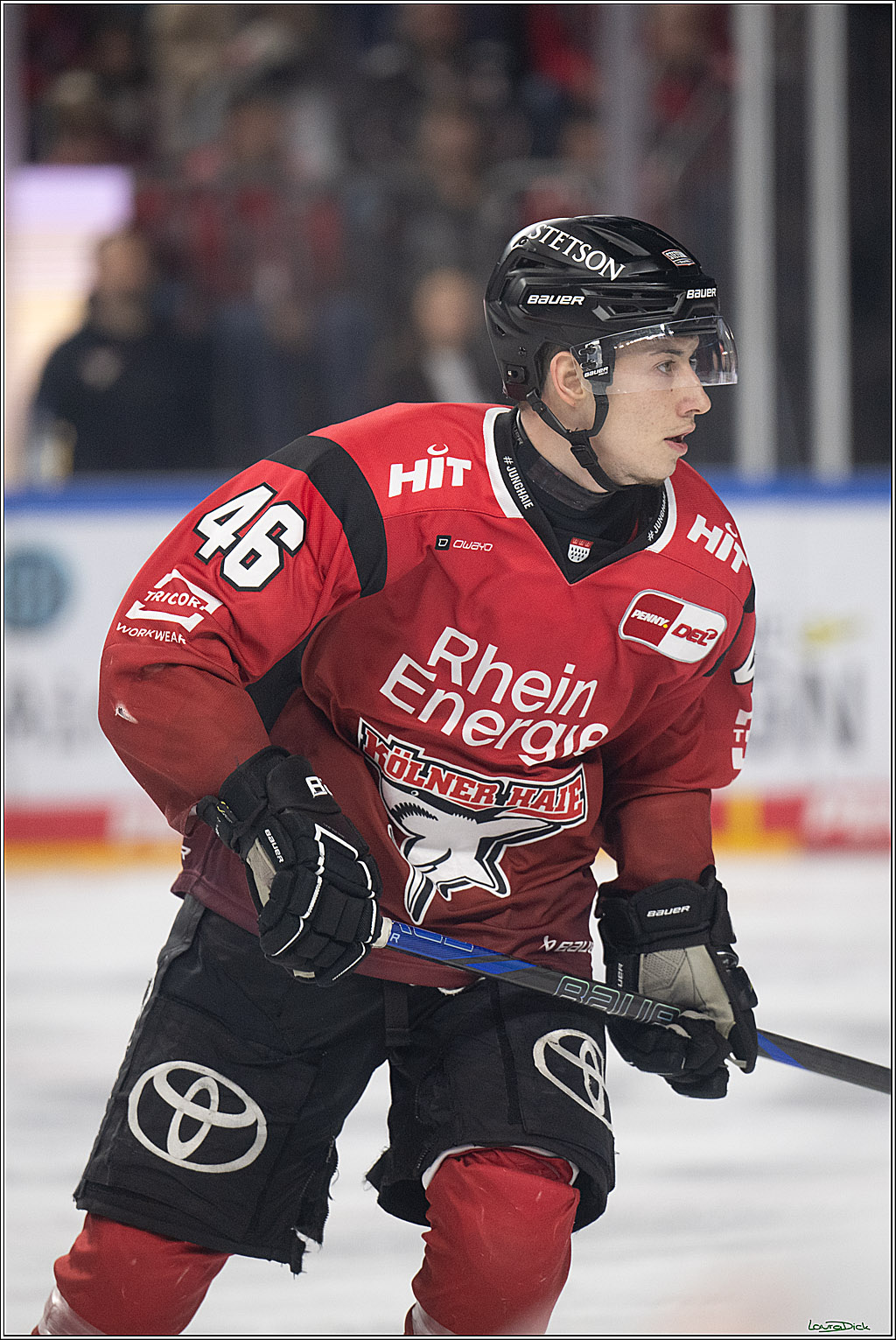 PENNY DEL 1; Kölner Haie - Augsburger Panther; Köln, 04.03.2026