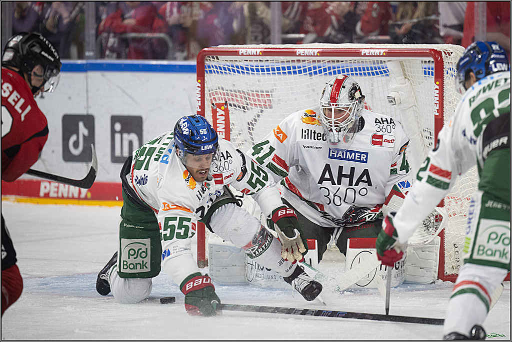 PENNY DEL 1; Kölner Haie - Augsburger Panther; Köln, 04.03.2026