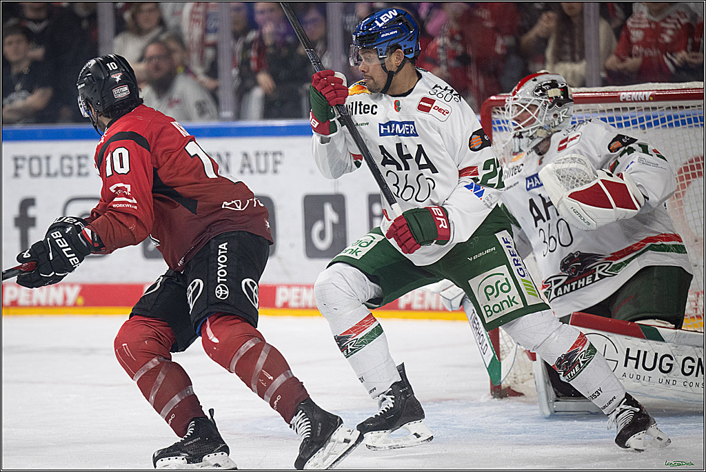 PENNY DEL 1; Kölner Haie - Augsburger Panther; Köln, 04.03.2026