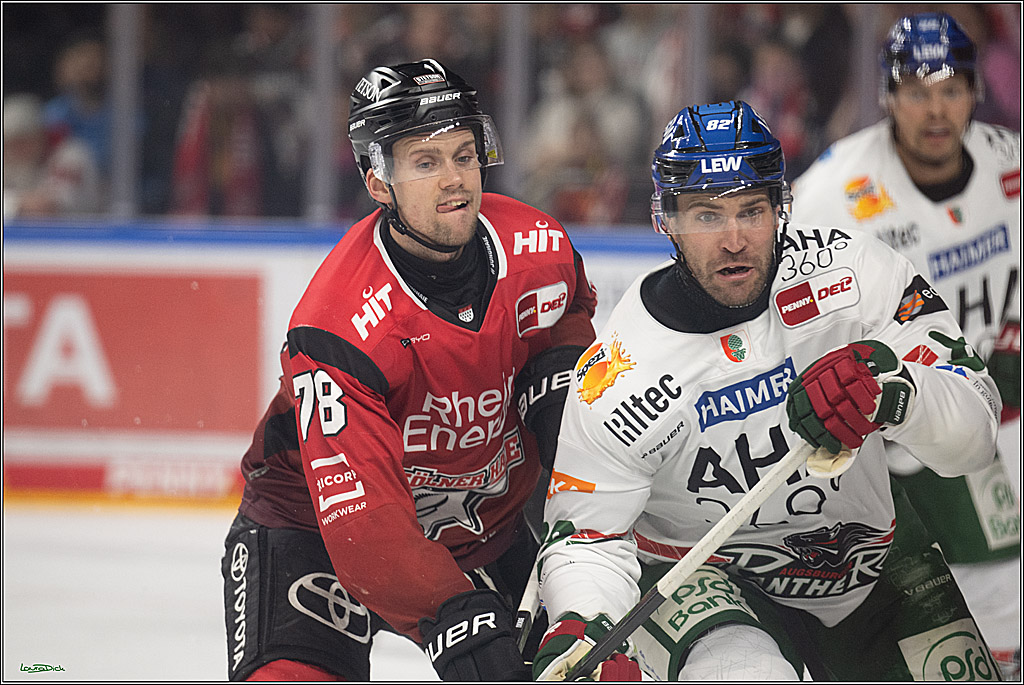 PENNY DEL 1; Kölner Haie - Augsburger Panther; Köln, 04.03.2026