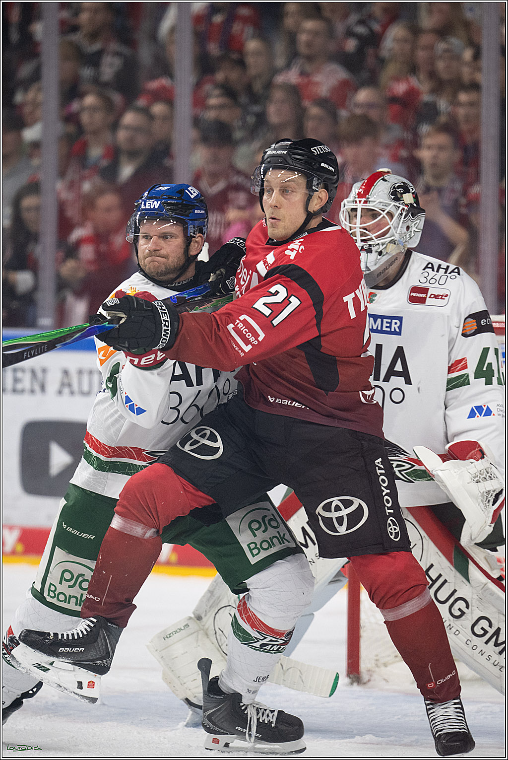 PENNY DEL 1; Kölner Haie - Augsburger Panther; Köln, 04.03.2026