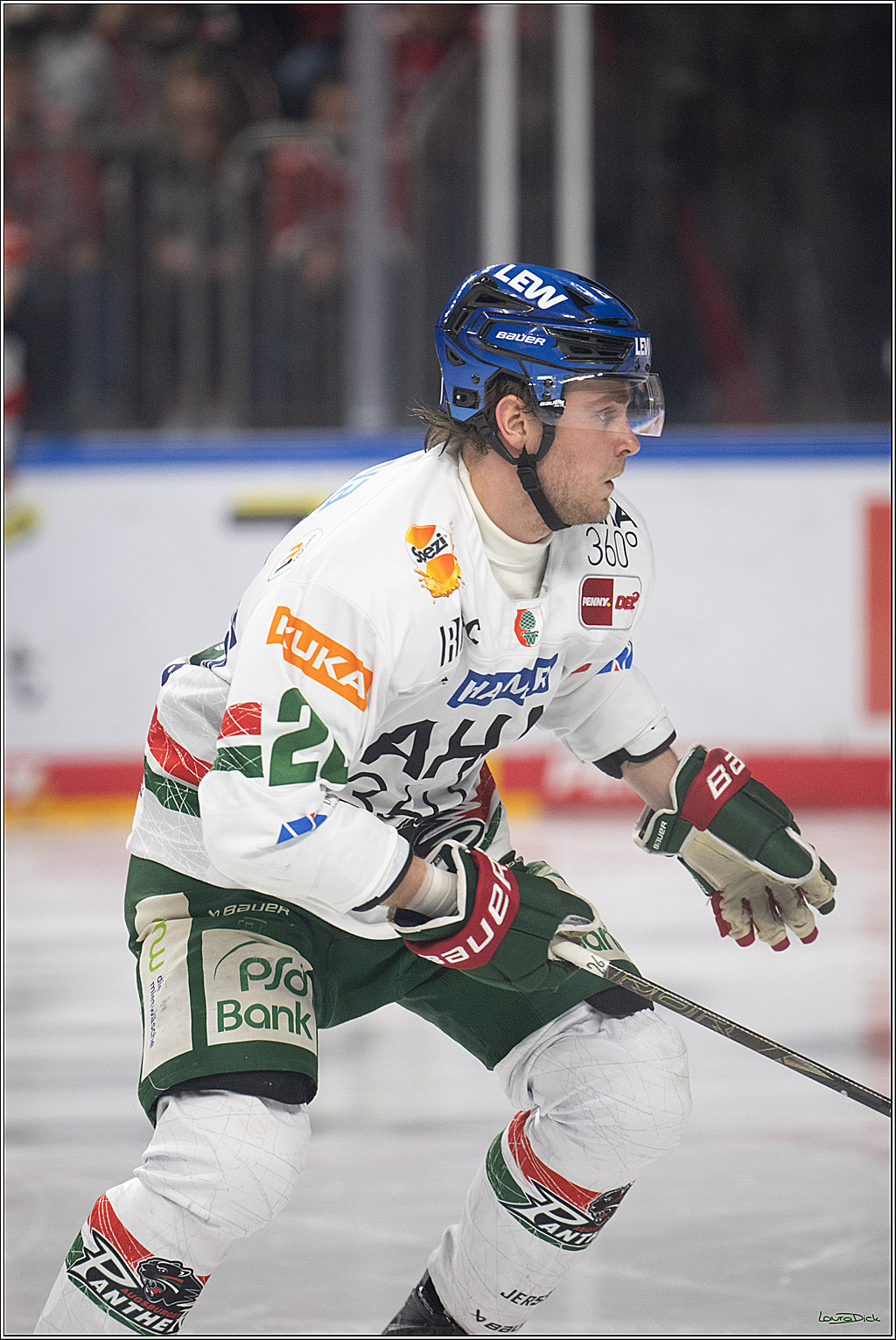 PENNY DEL 1; Kölner Haie - Augsburger Panther; Köln, 04.03.2026