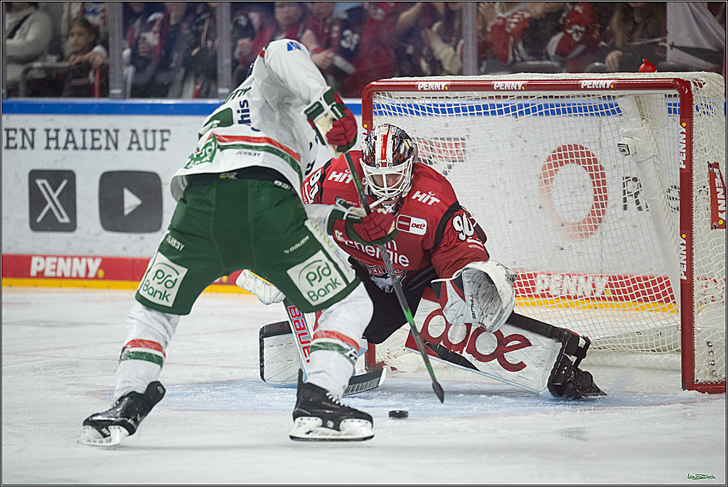 PENNY DEL 1; Kölner Haie - Augsburger Panther; Köln, 04.03.2026