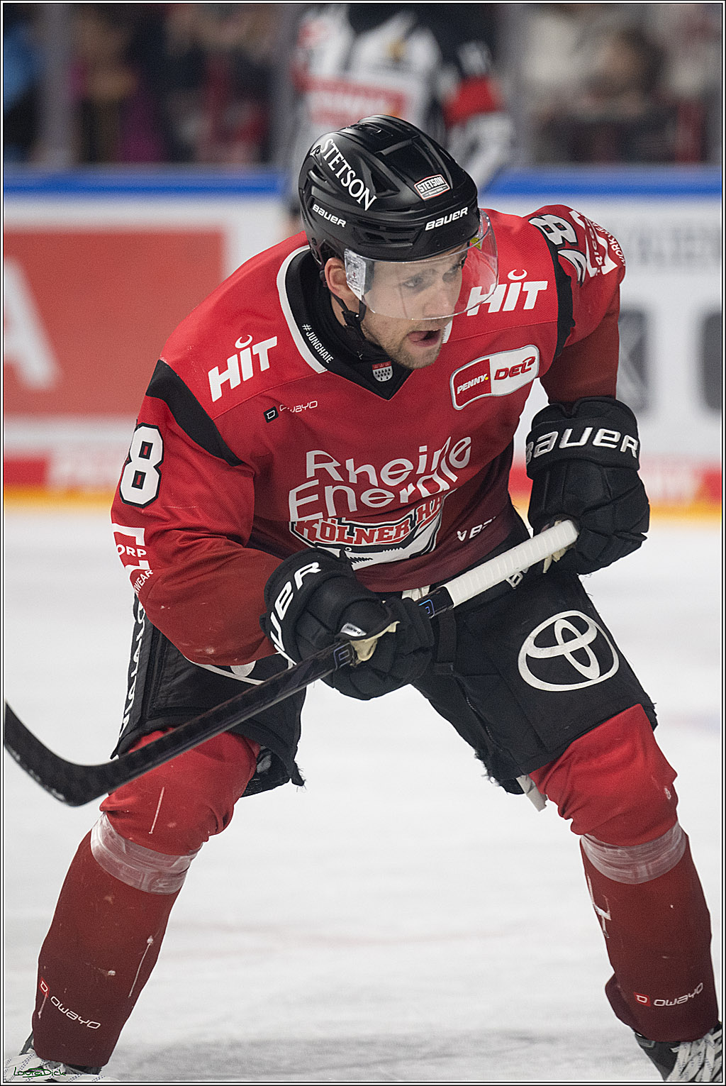 PENNY DEL 1; Kölner Haie - Augsburger Panther; Köln, 04.03.2026