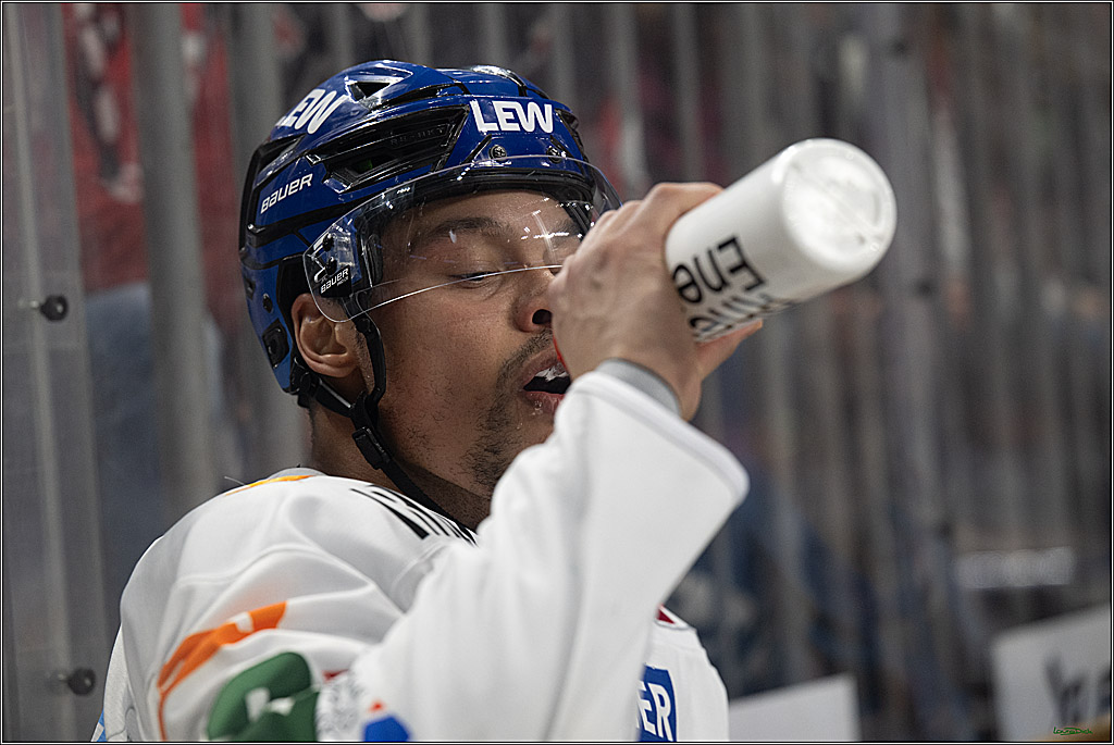 PENNY DEL 1; Kölner Haie - Augsburger Panther; Köln, 04.03.2026