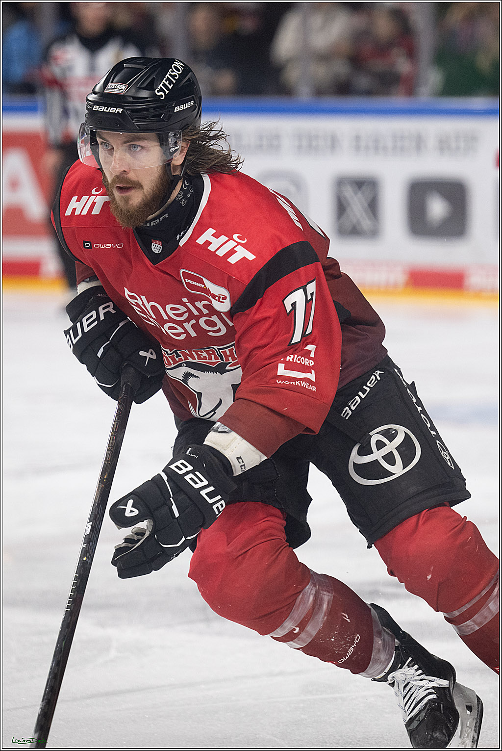 PENNY DEL 1; Kölner Haie - Augsburger Panther; Köln, 04.03.2026
