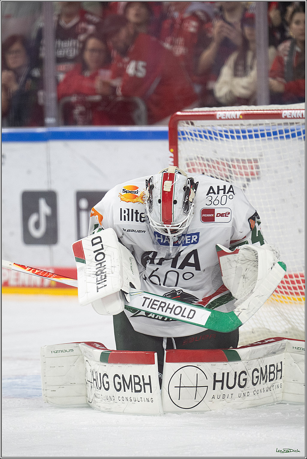 PENNY DEL 1; Kölner Haie - Augsburger Panther; Köln, 04.03.2026