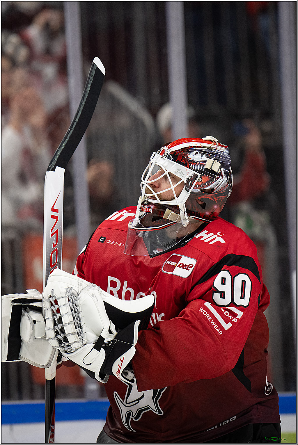 PENNY DEL 1; Kölner Haie - Augsburger Panther; Köln, 04.03.2026