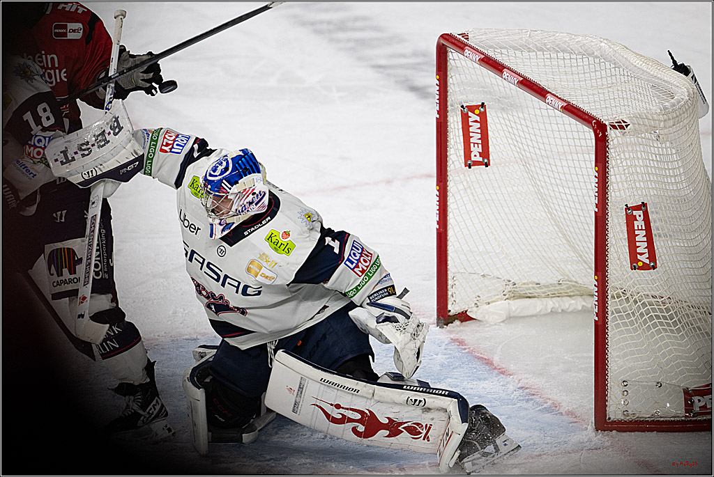 PENNY DEL 1; Kölner Haie - Eisbären Berlin; Köln, 08.03.2026