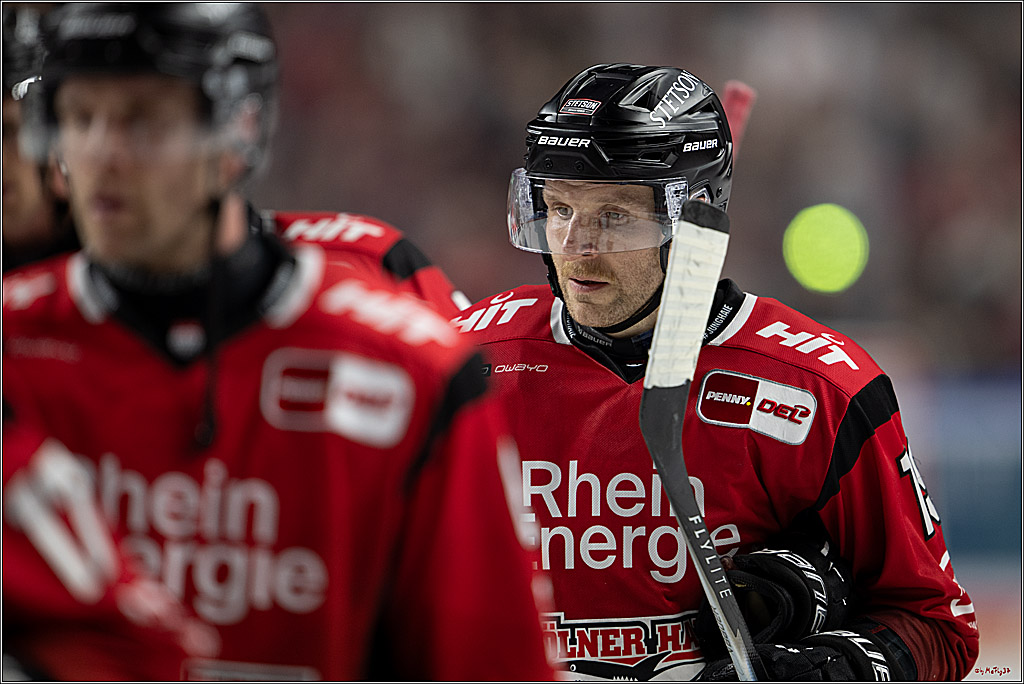 PENNY DEL 1; Kölner Haie - Eisbären Berlin; Köln, 08.03.2026