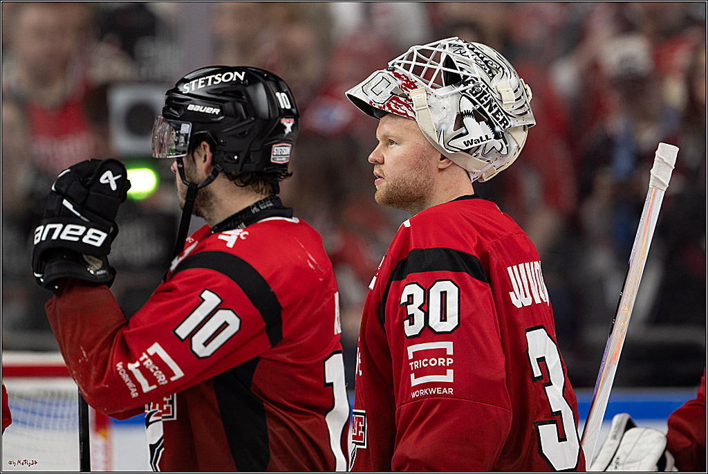 PENNY DEL 1; Kölner Haie - Eisbären Berlin; Köln, 08.03.2026