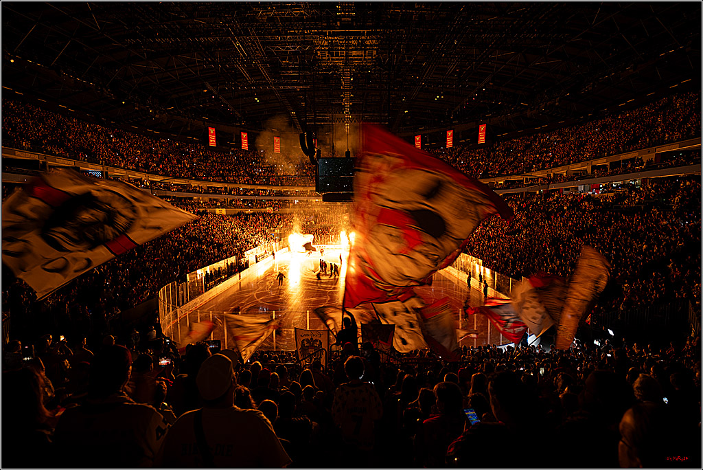 PENNY DEL 1; Kölner Haie - Eisbären Berlin; Köln, 08.03.2026