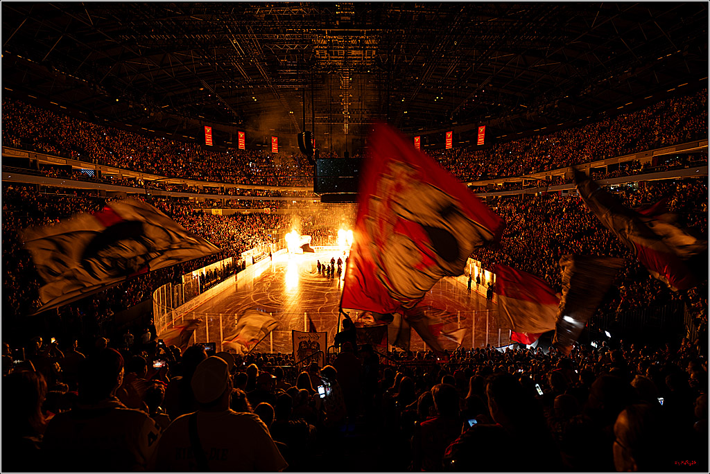 PENNY DEL 1; Kölner Haie - Eisbären Berlin; Köln, 08.03.2026