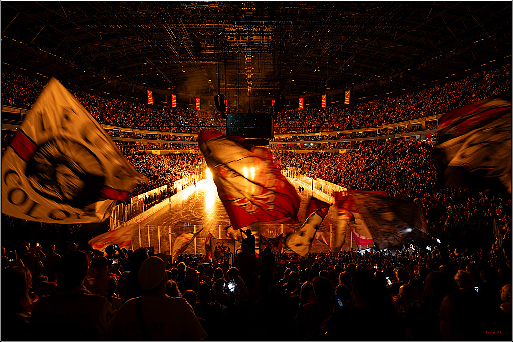 PENNY DEL 1; Kölner Haie - Eisbären Berlin; Köln, 08.03.2026