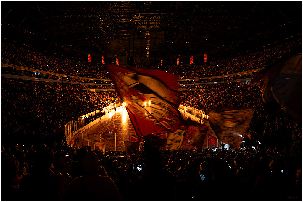 PENNY DEL 1; Kölner Haie - Eisbären Berlin; Köln, 08.03.2026