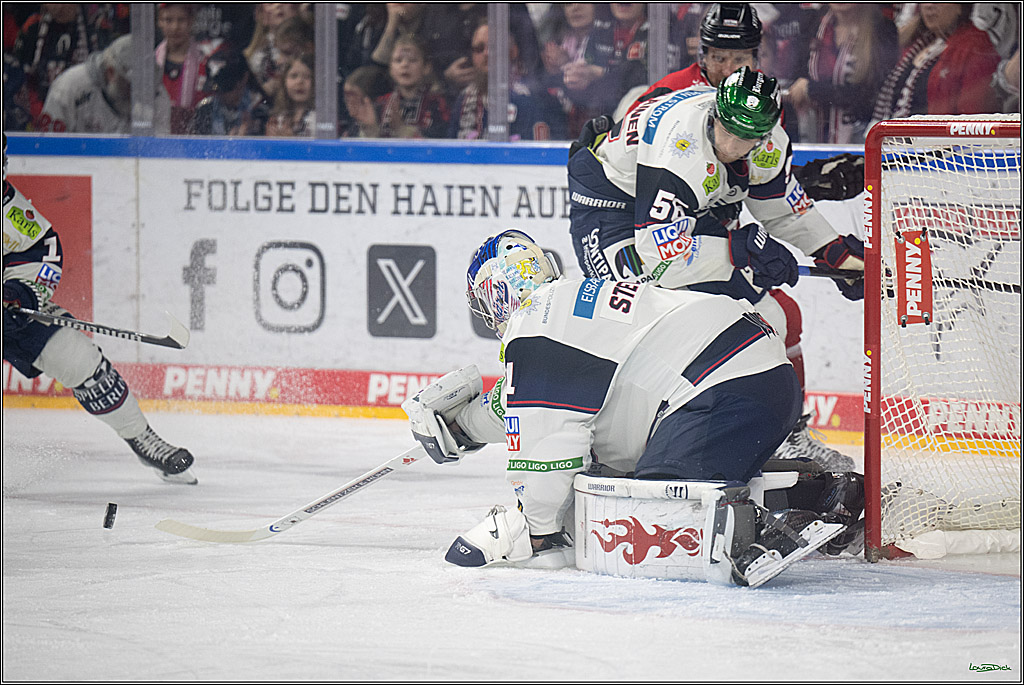 PENNY DEL 1; Kölner Haie - Eisbären Berlin; Köln, 08.03.2026