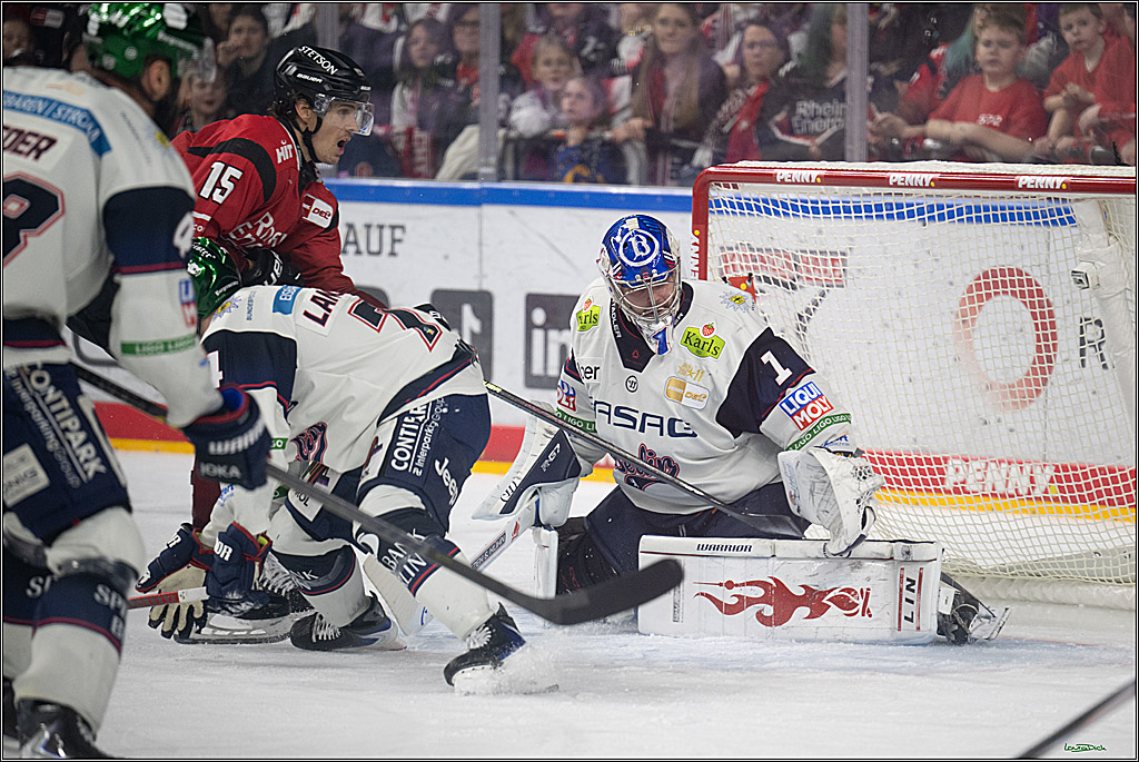 PENNY DEL 1; Kölner Haie - Eisbären Berlin; Köln, 08.03.2026