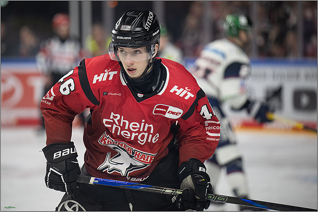 PENNY DEL 1; Kölner Haie - Eisbären Berlin; Köln, 08.03.2026