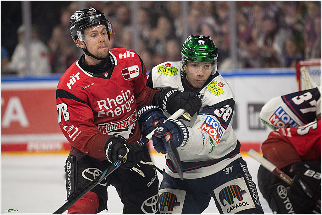PENNY DEL 1; Kölner Haie - Eisbären Berlin; Köln, 08.03.2026