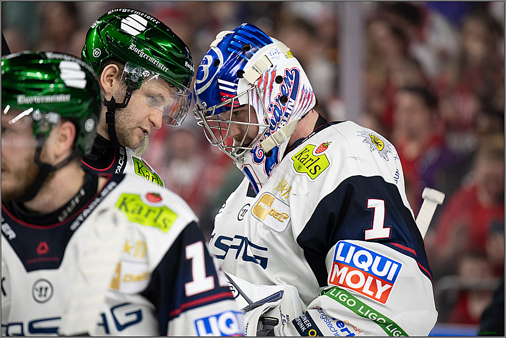 PENNY DEL 1; Kölner Haie - Eisbären Berlin; Köln, 08.03.2026
