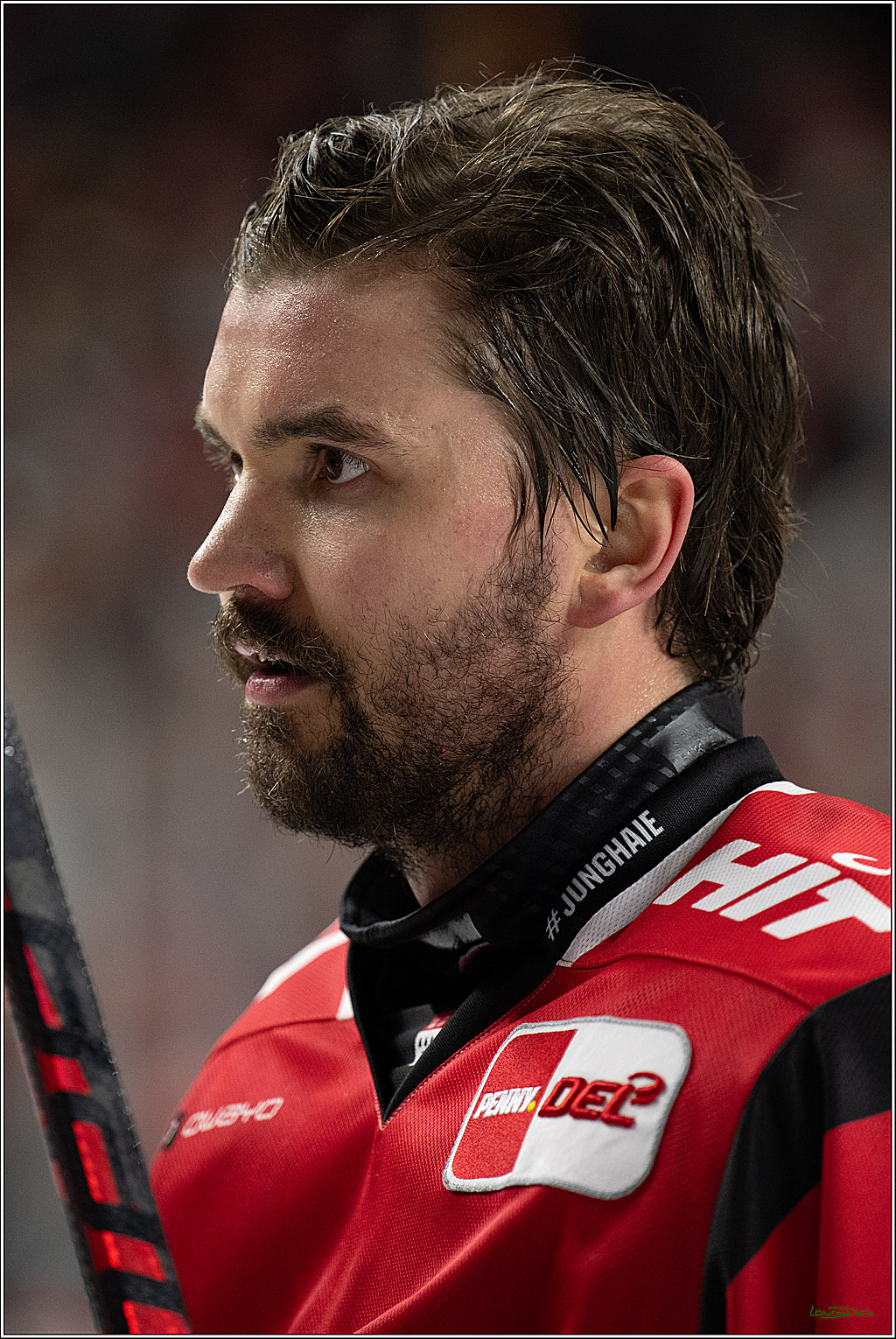 PENNY DEL 1; Kölner Haie - Eisbären Berlin; Köln, 08.03.2026