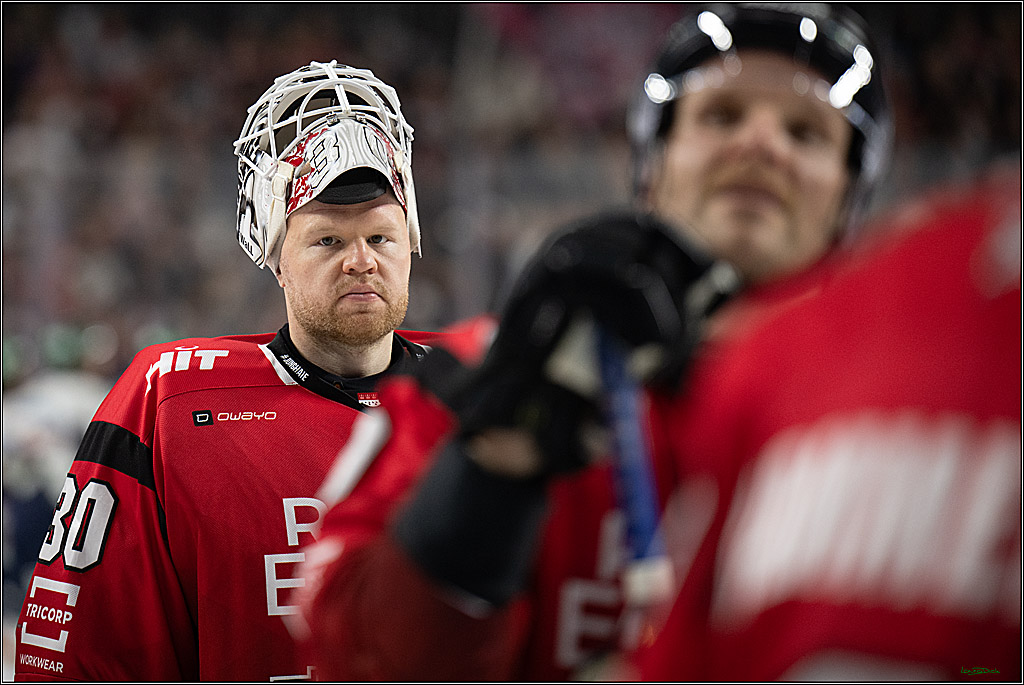PENNY DEL 1; Kölner Haie - Eisbären Berlin; Köln, 08.03.2026