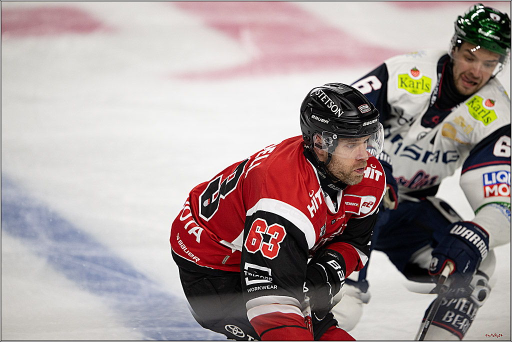 PENNY DEL 1 - Playoff Halbfinale - Kölner Haie - Eisbären Berlin; Köln, 10.04.2026