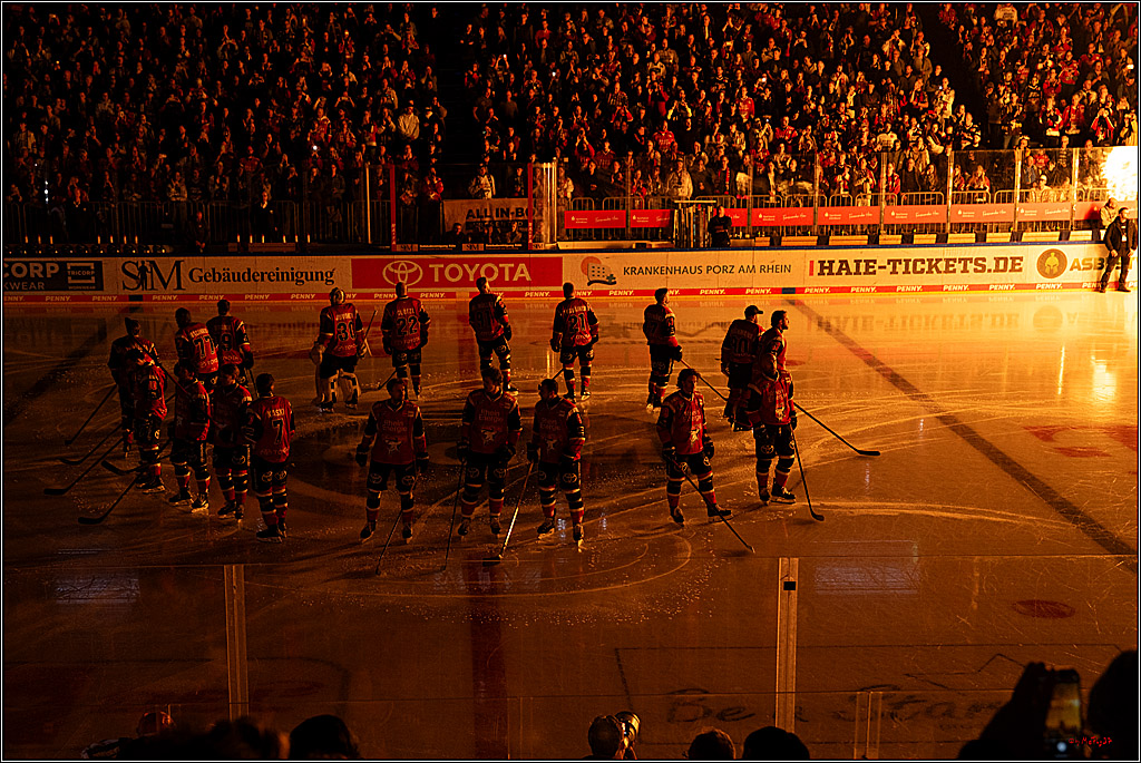 PENNY DEL 1 - Playoff Halbfinale - Kölner Haie - Eisbären Berlin; Köln, 10.04.2026