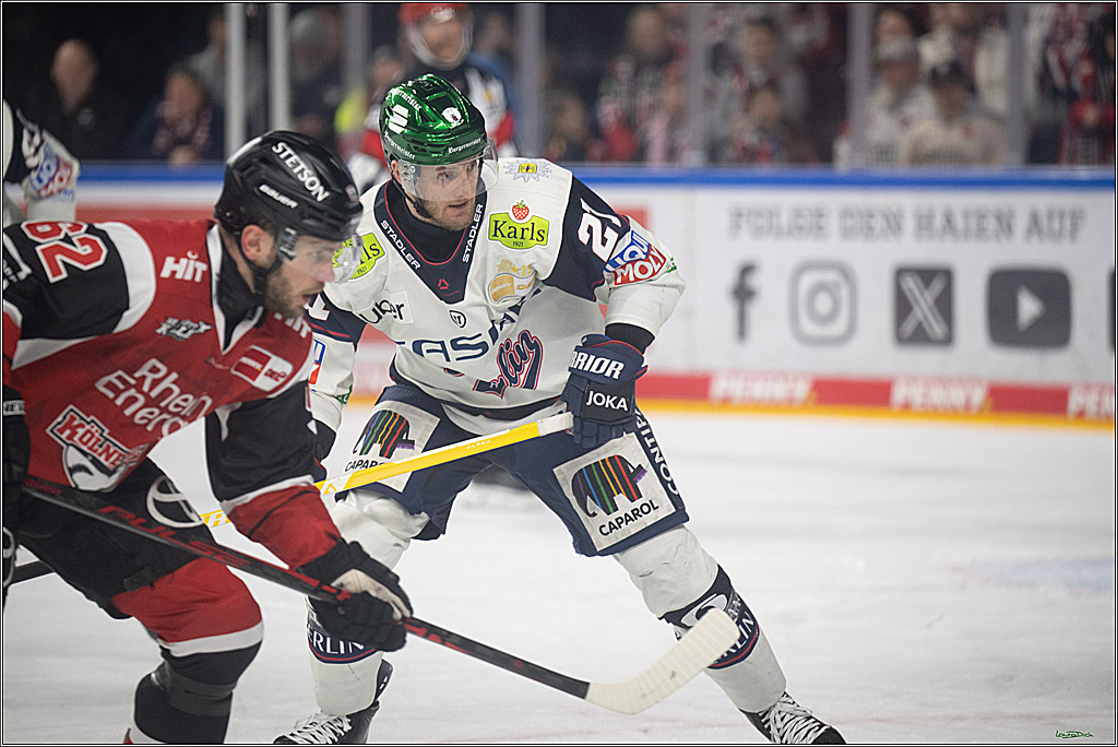 PENNY DEL 1 - Playoff Halbfinale - Kölner Haie - Eisbären Berlin; Köln, 10.04.2026