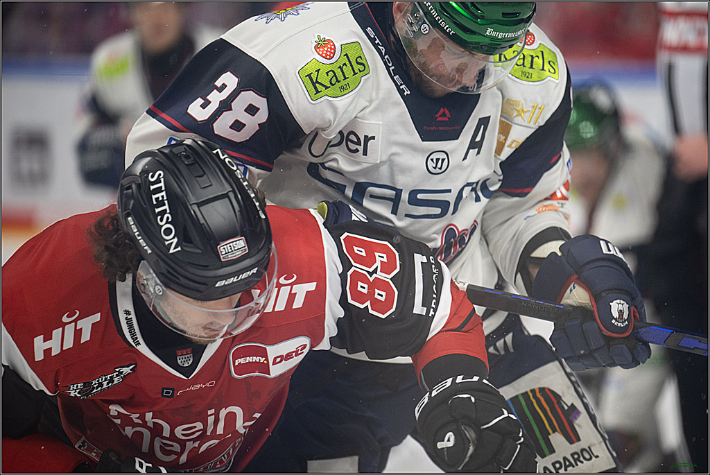 PENNY DEL 1 - Playoff Halbfinale - Kölner Haie - Eisbären Berlin; Köln, 10.04.2026