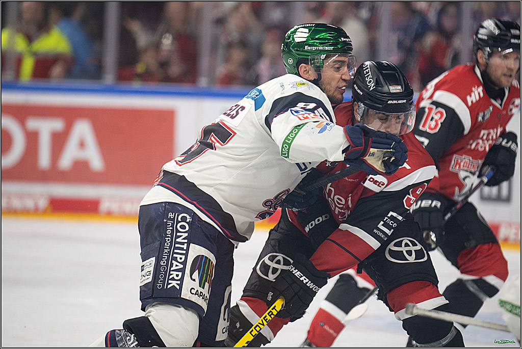 PENNY DEL 1 - Playoff Halbfinale - Kölner Haie - Eisbären Berlin; Köln, 10.04.2026