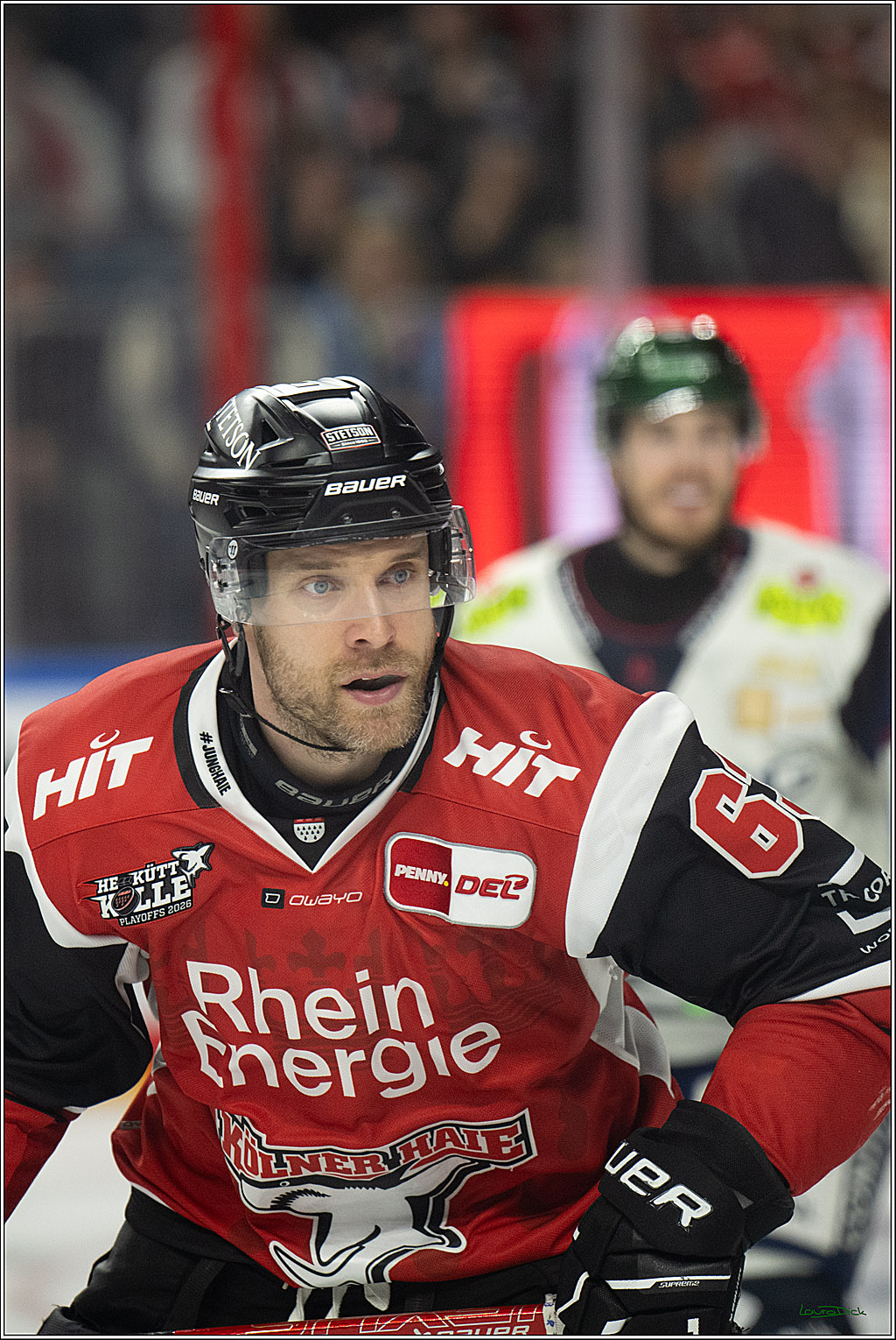 PENNY DEL 1 - Playoff Halbfinale - Kölner Haie - Eisbären Berlin; Köln, 10.04.2026