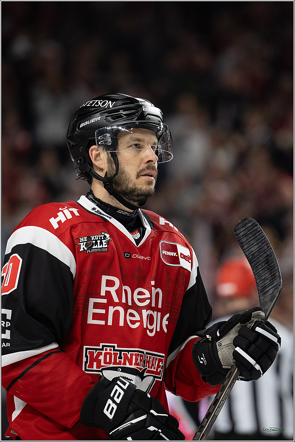 PENNY DEL 1 - Playoff Halbfinale - Kölner Haie - Eisbären Berlin; Köln, 10.04.2026