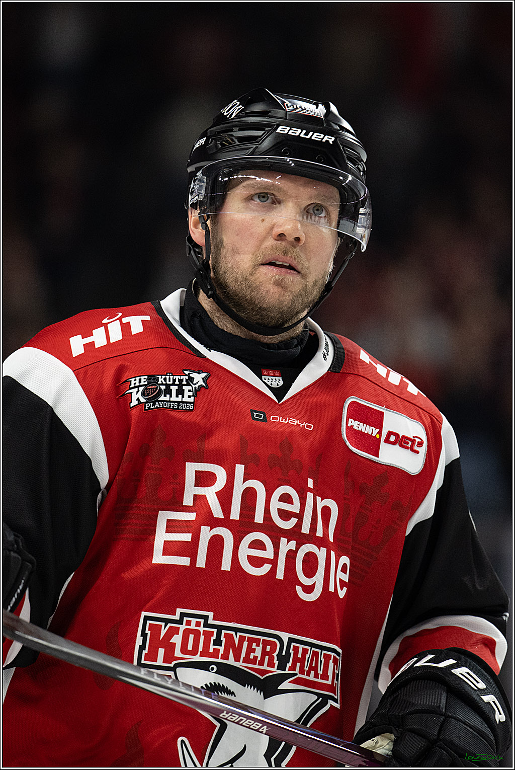 PENNY DEL 1 - Playoff Halbfinale - Kölner Haie - Eisbären Berlin; Köln, 10.04.2026